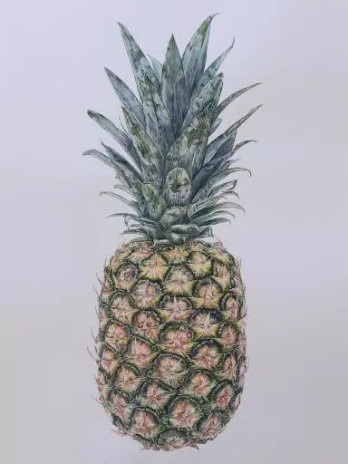 Watercolour Pineapple