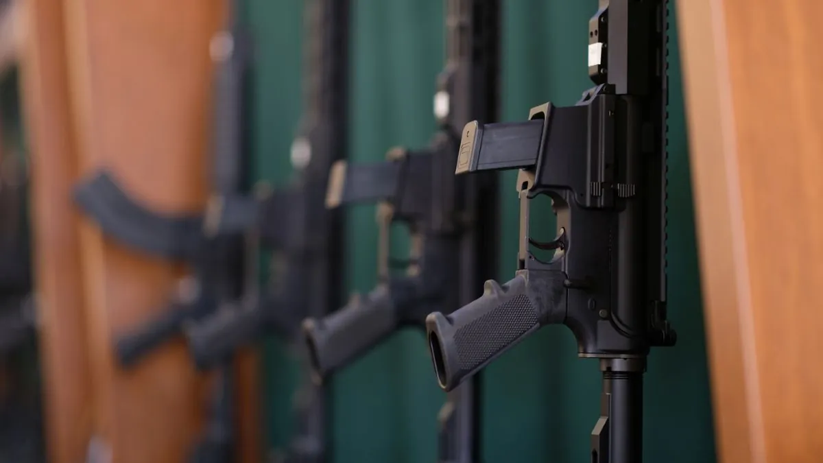 Weapons & Firearms